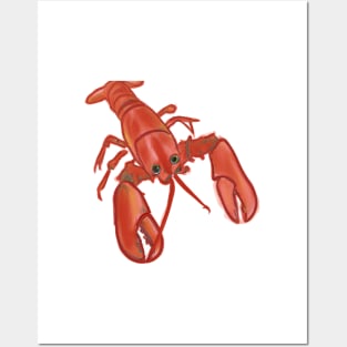 Cute Lobster Drawing Posters and Art